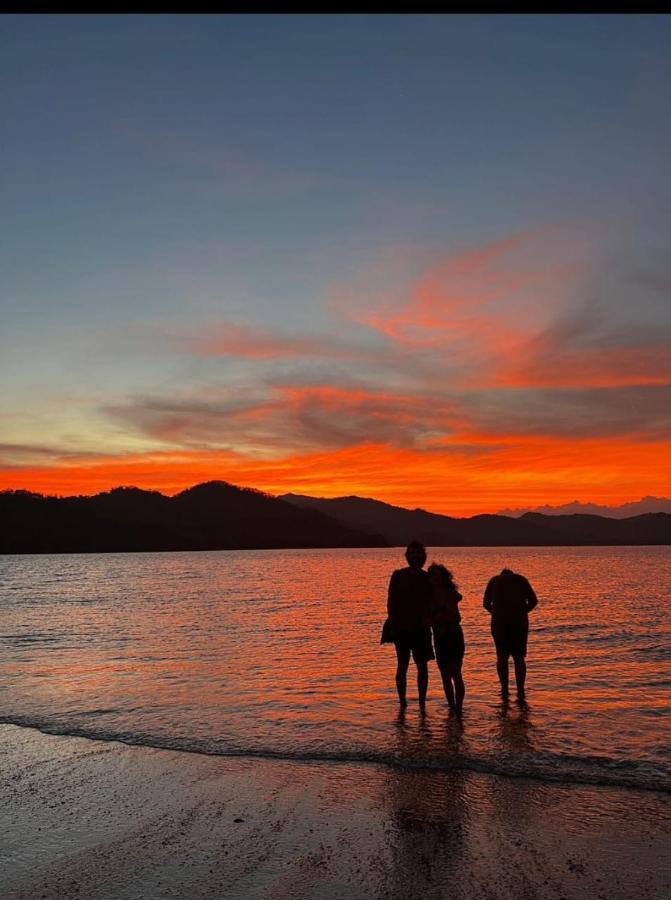 Bioluminiscencia Hostel Tours - South Paquera Luaran gambar