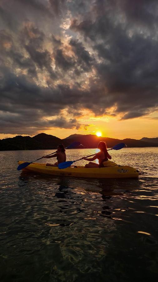 Bioluminiscencia Hostel Tours - South Paquera Luaran gambar