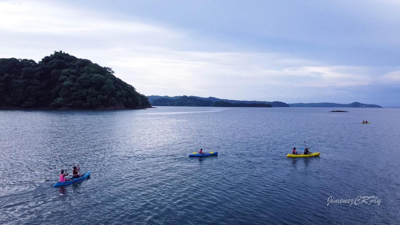 Bioluminiscencia Hostel Tours - South Paquera Luaran gambar